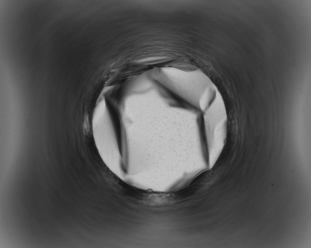 X0000082960089200703020222