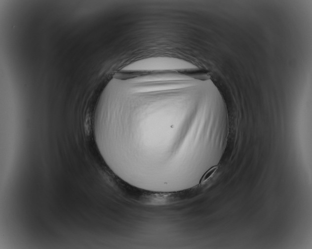 X0000082960090200703020222