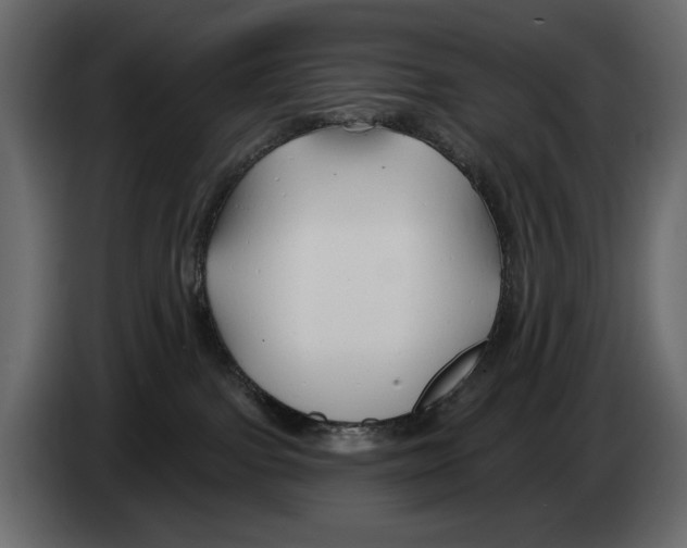 X0000082960091200703020222