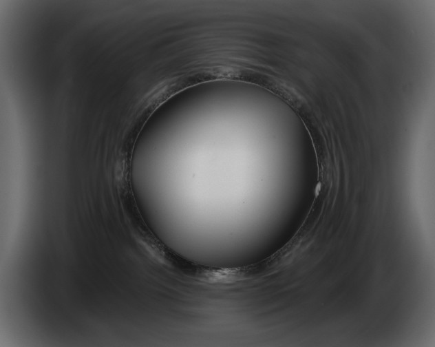 X0000082960092200703020222