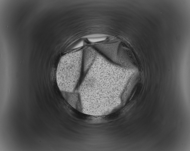 X0000082960093200703020222