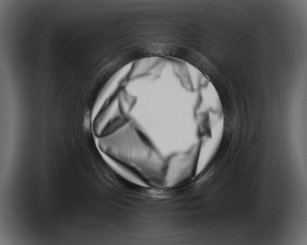 X0000082960095200703020222