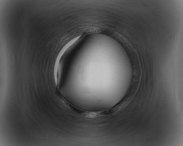 X0000082960096200703020222