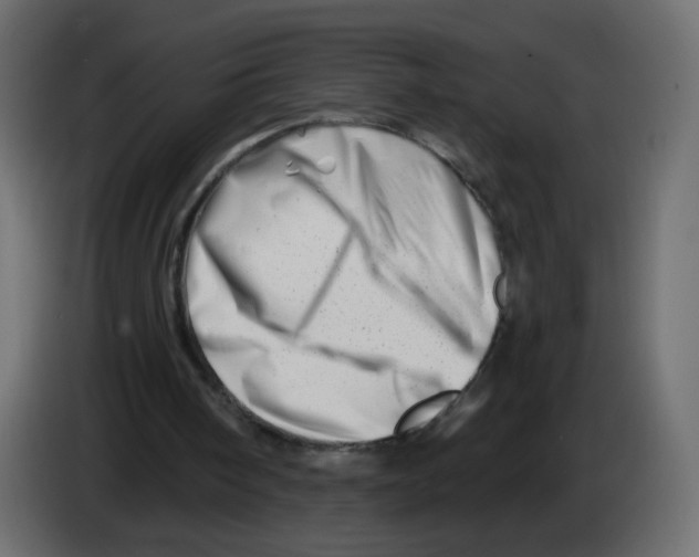 X0000082960098200703020221