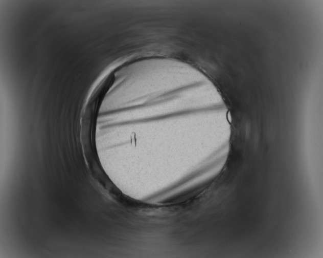 X0000082960100200703020221