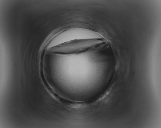 X0000082960101200703020221