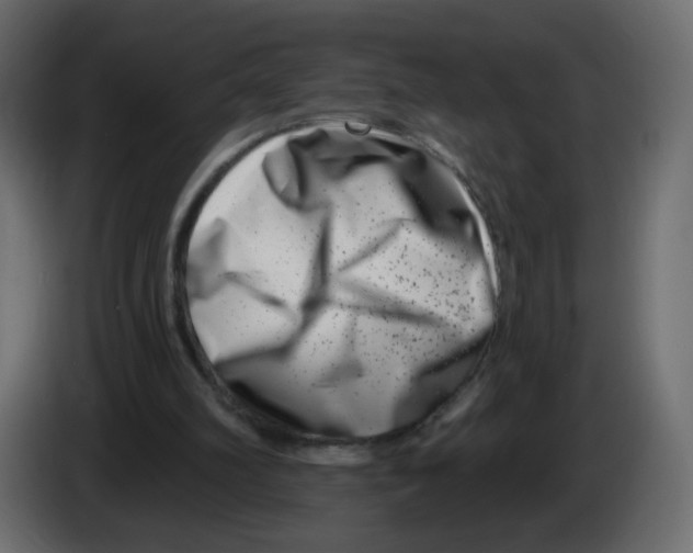 X0000082960102200703020221