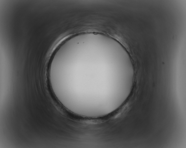 X0000082960103200703020221