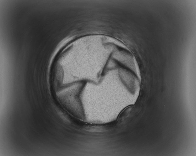 X0000082960104200703020221