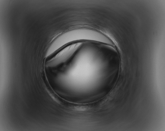 X0000082960105200703020221