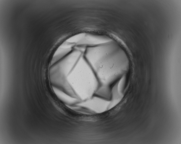 X0000082960106200703020221