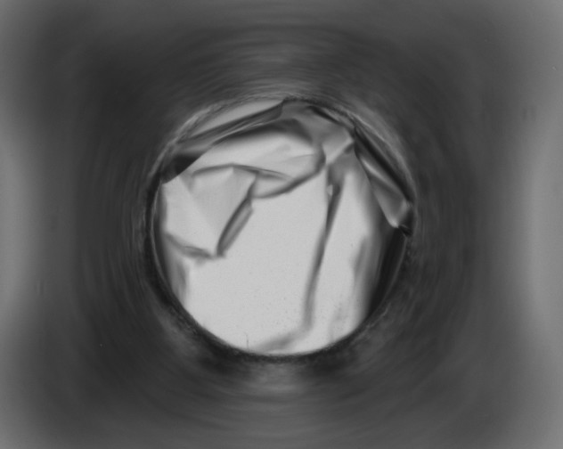 X0000082960107200703020221