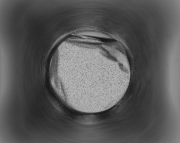 X0000082960108200703020221