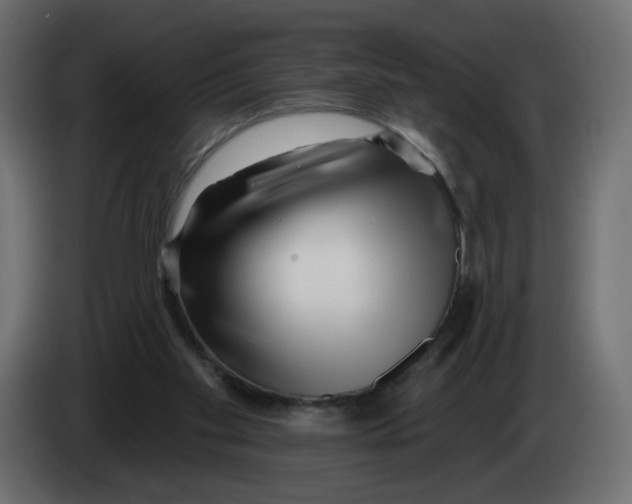 X0000082960109200703020221