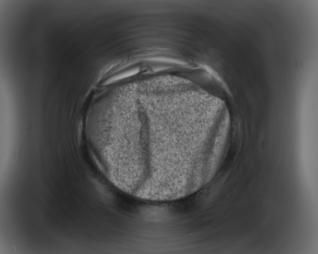 X0000082960110200703020221