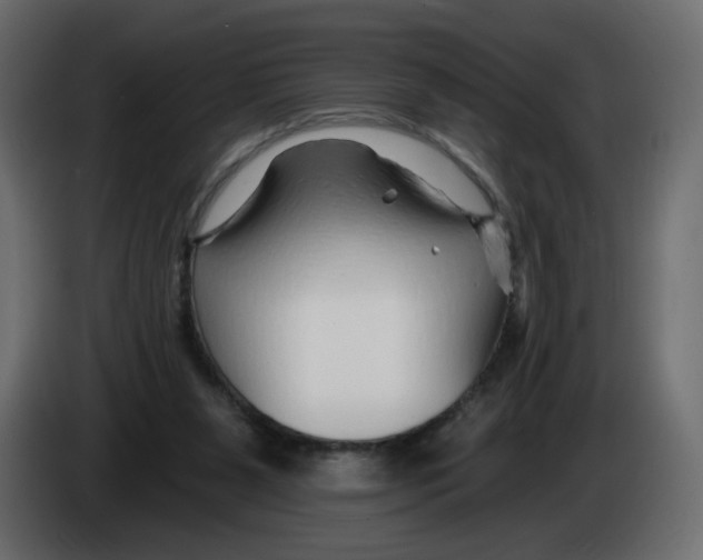 X0000082960111200703020221