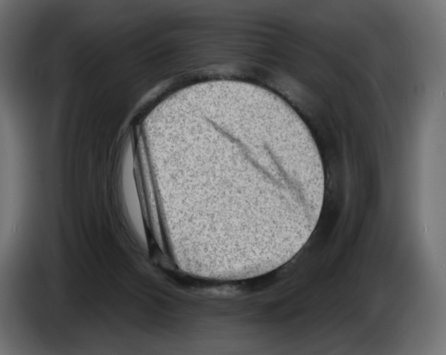 X0000082960112200703020221