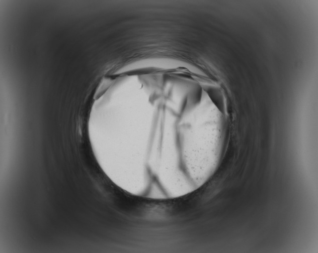 X0000082960115200703020221