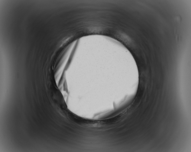 X0000082960116200703020221