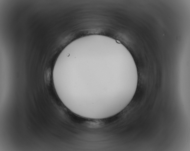 X0000082960118200703020221