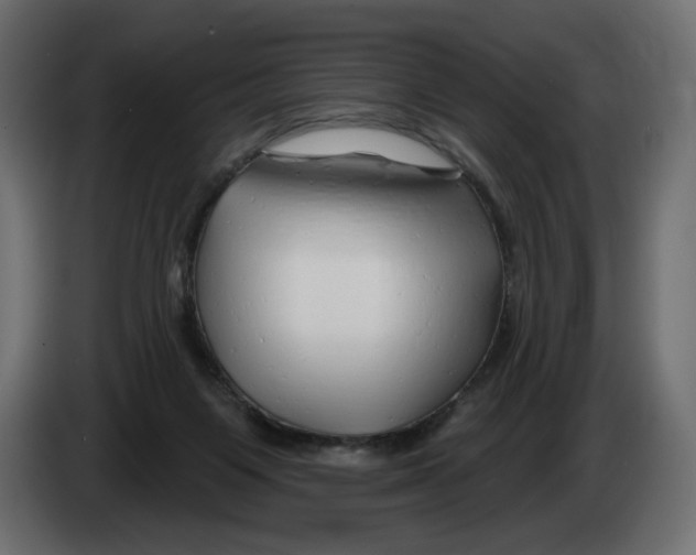 X0000082960119200703020221