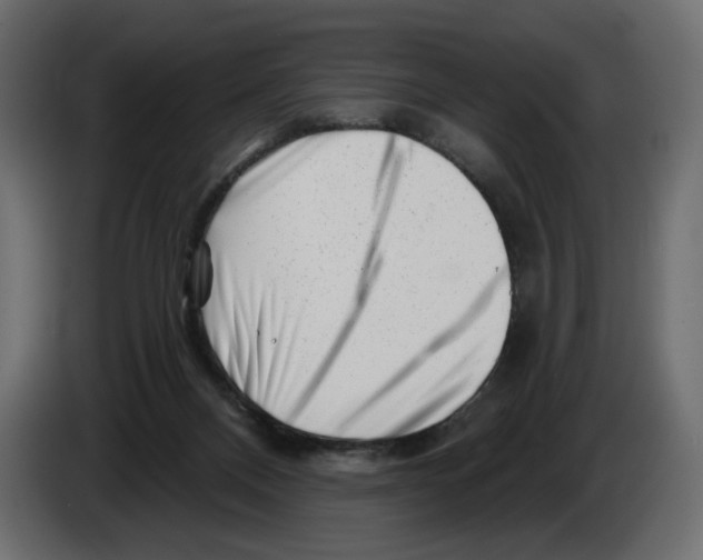 X0000082960120200703020221