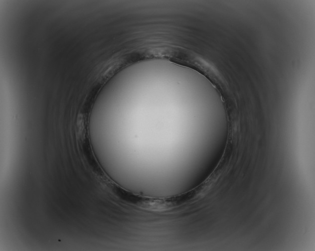 X0000082960121200703020221