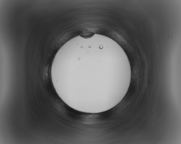 X0000082960122200703020221