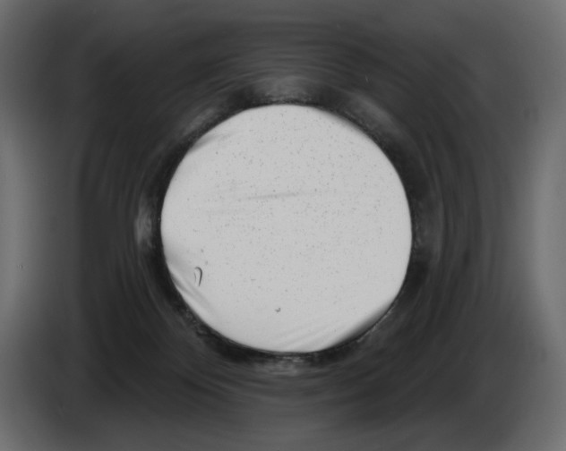 X0000082960124200703020221