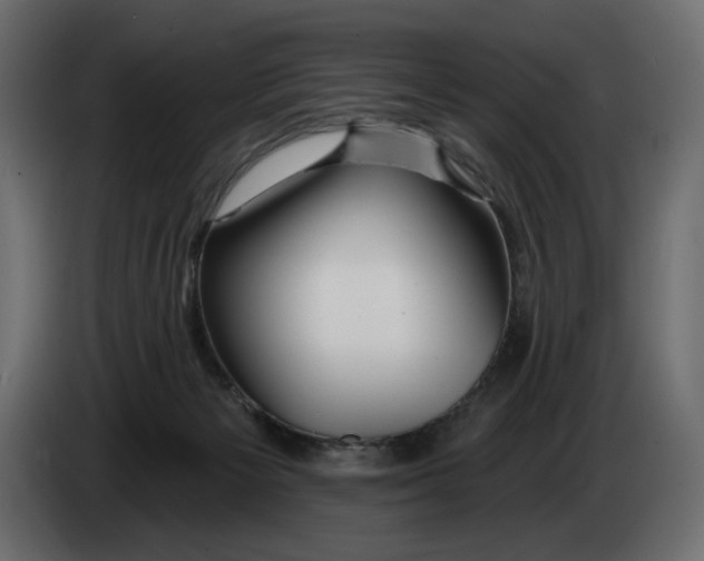 X0000082960125200703020221