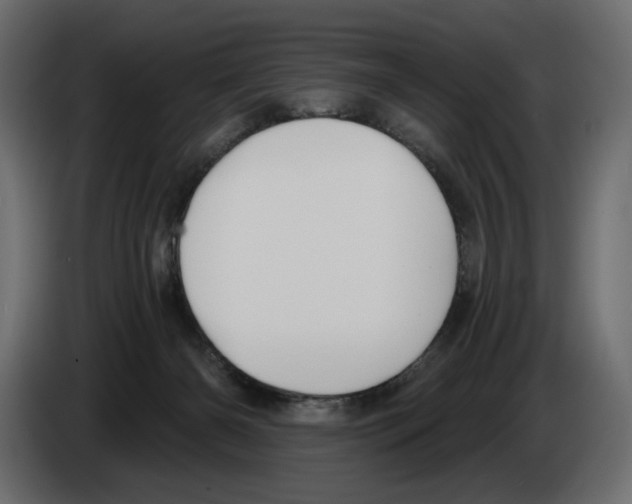 X0000082960126200703020221