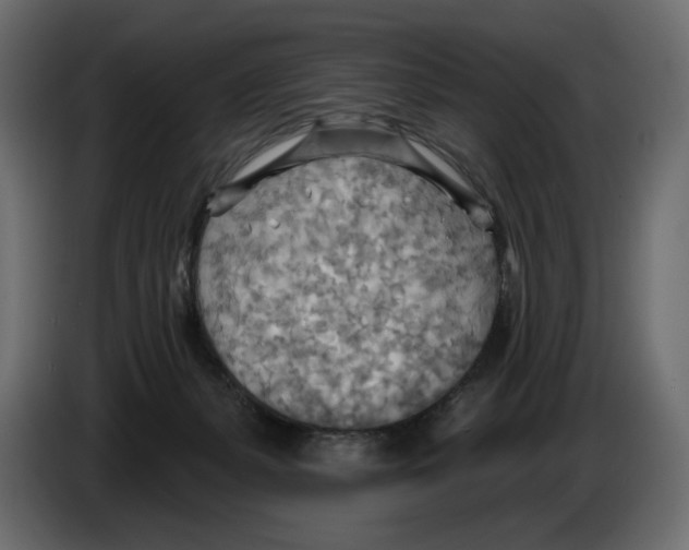 X0000082960127200703020221