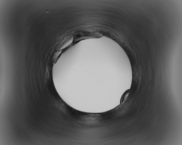 X0000082960128200703020221