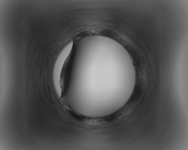 X0000082960129200703020221