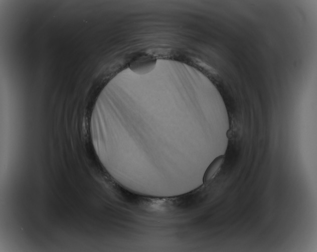 X0000082960130200703020221