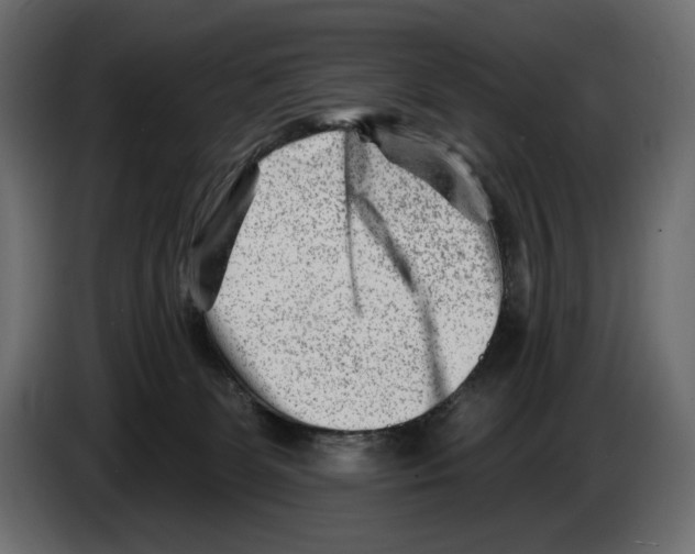 X0000082960131200703020221