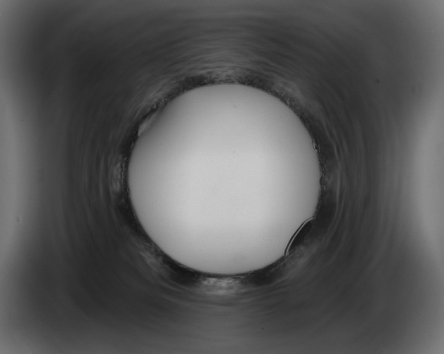 X0000082960133200703020221