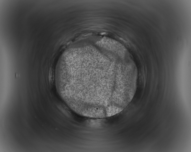 X0000082960134200703020221