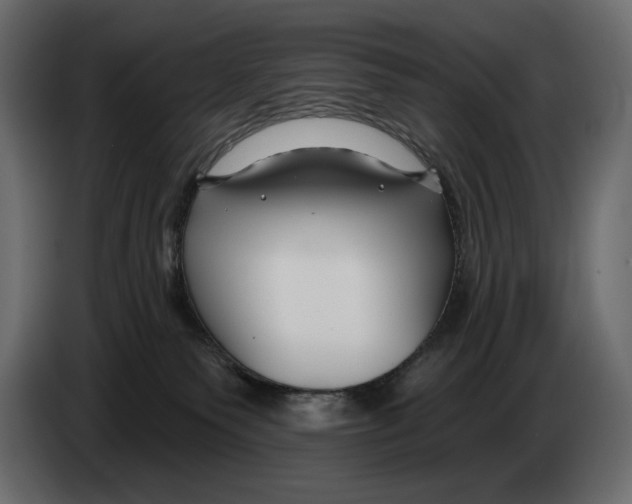 X0000082960135200703020221