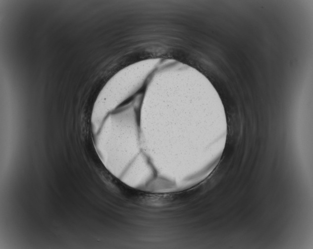 X0000082960136200703020221