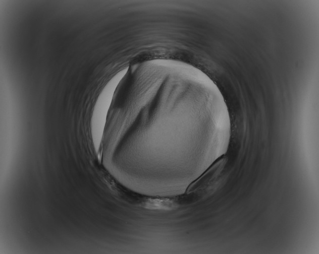 X0000082960137200703020221