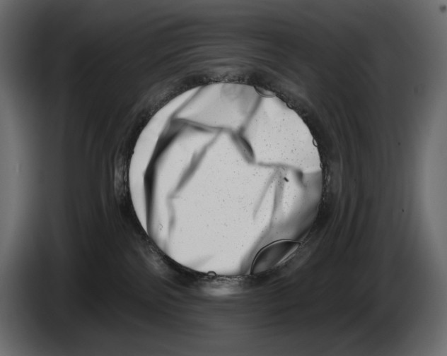 X0000082960138200703020221