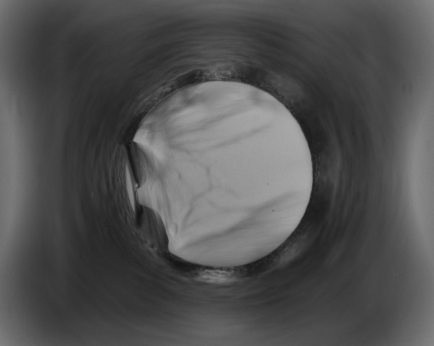 X0000082960139200703020221