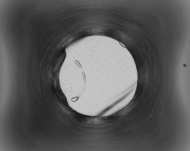 X0000082960140200703020221