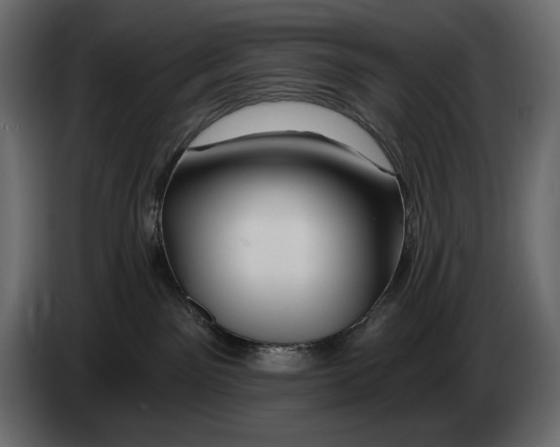 X0000082960141200703020220