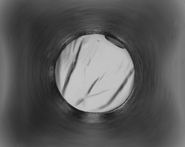 X0000082960144200703020220