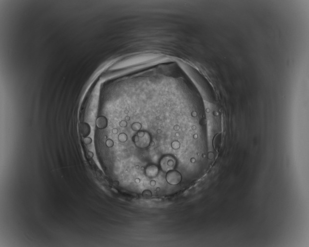 X0000082960147200703020220