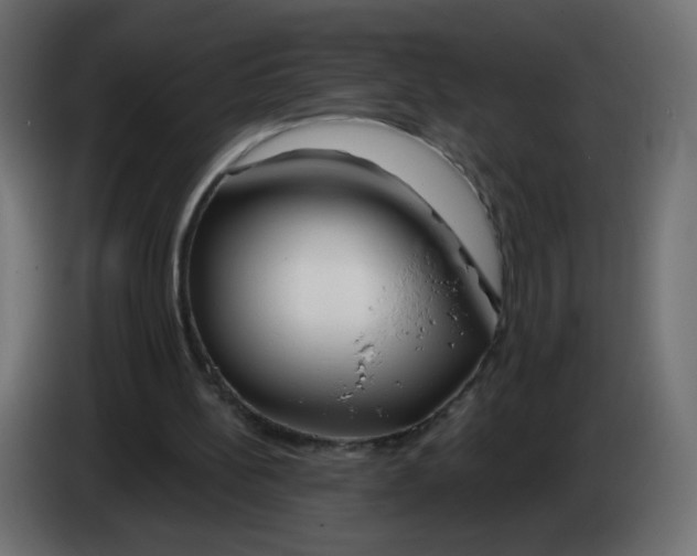 X0000082960148200703020220