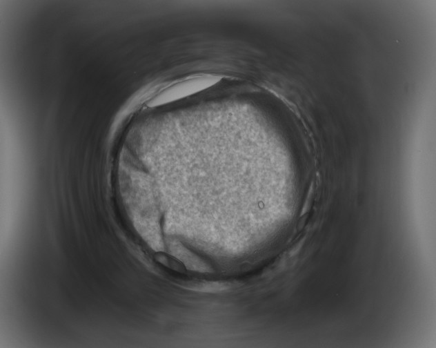 X0000082960149200703020220