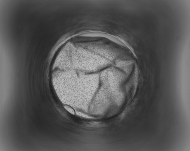 X0000082960151200703020220